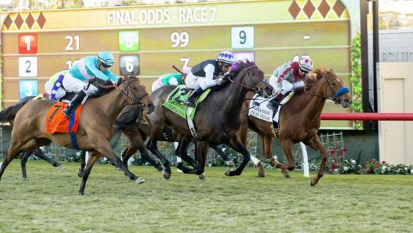 miss-temple-city-uts1-72