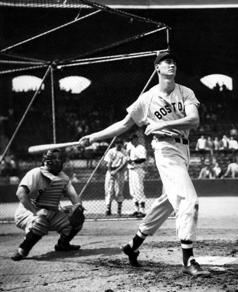 ted-williams